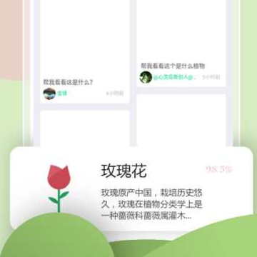 花圃天下 花圃天下