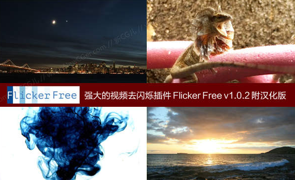 AEȥ��˸���(digital anarchy flicker free) 