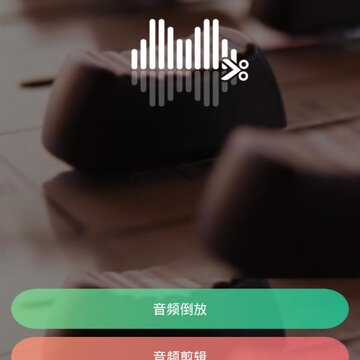 reversevoice����