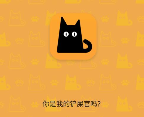 我要猫 我要猫