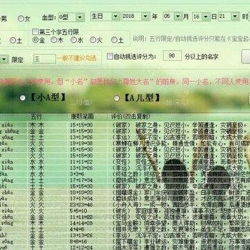 精准八字宝宝起名软件专业版 精准八字宝宝起名软件专业版