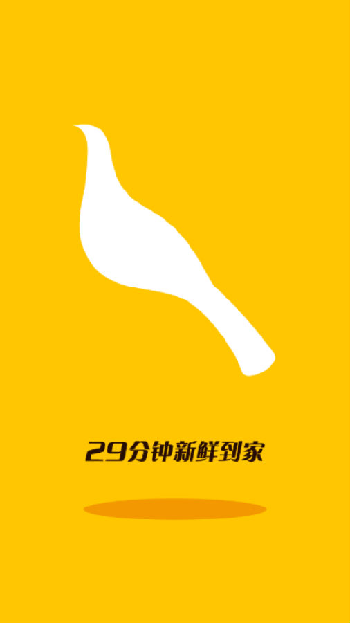 �ڵ���