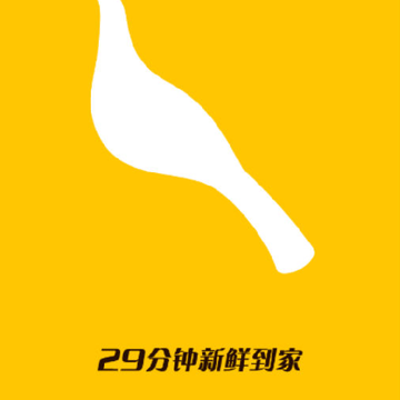 �ڵ���