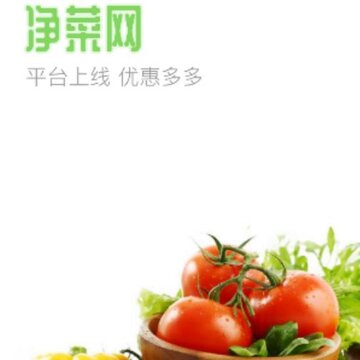 净菜网 净菜网