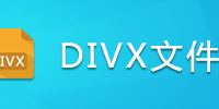 DIVX�ļ�