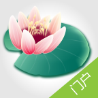 �ӱ�����΢�Ż�appv4.9 ���°�