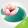 �ӱ�����΢�Ż�appv4.9 ���°�