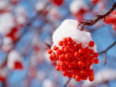 2019Сѩ����˵˵��ȫ Сѩ����΢������Ȧף����˵˵