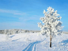 ��ѩ������Ȧ������� ����ѩ��˵˵��ȫ������