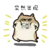 ʥ��ñv1.0 ��׿��