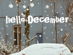 2019ʮ������ø���˵˵ 12������΢�Ÿ���˵˵