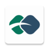 Handzapv1.1.1 ��׿��