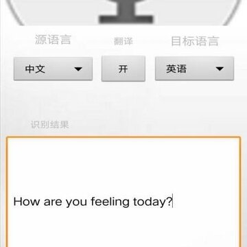 �ǻ���������