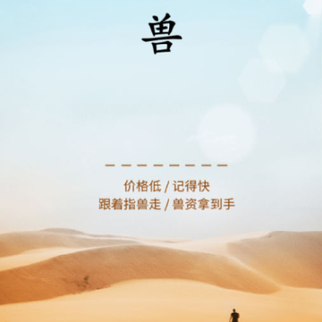 ָ��