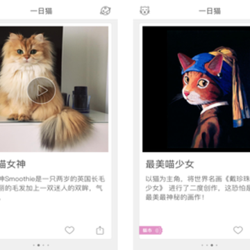 һ��èapp