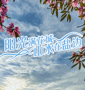 ɽˮ�α�app