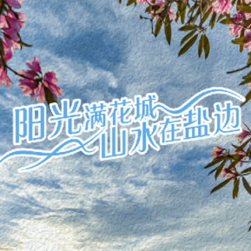 ɽˮ�α�app