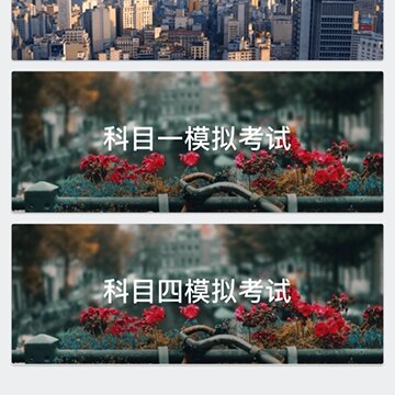 ����ѧ��app