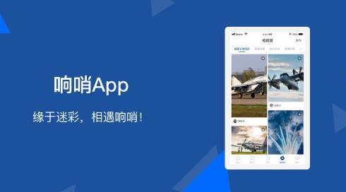 ����APP