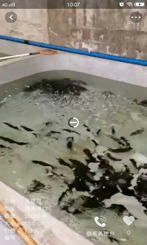 ����