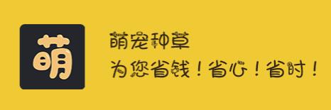 �ȳ��ֲ�app
