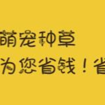 �ȳ��ֲ�app