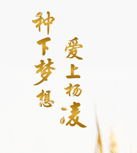 ������app