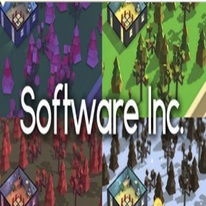 ������˾(Software Inc)
