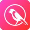ȵ��appv1.0.8 ��׿��
