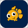 ��Ī��Ƶappv1.0.1.13 ��׿��