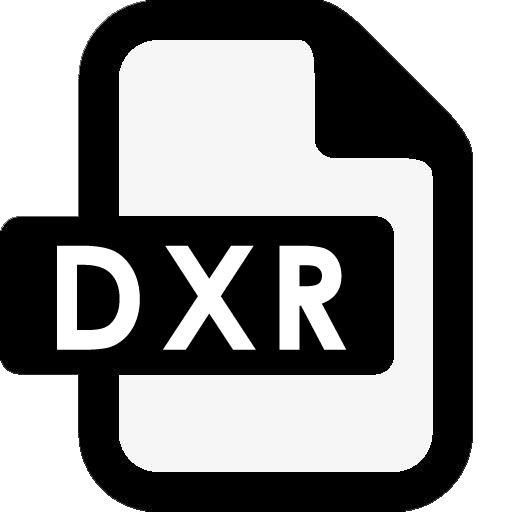 DXR文件