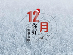 ʮ�����������˵˵2019 12����õľ��Ӽ򵥺���