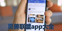 ��������app��ȫ