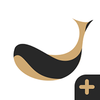 ���appv1.0.0 ��׿��