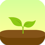 forest�ƽ��ȫ���ְ�v4.26.0 �ڹ���