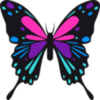 ���Ǻ�����ģ����v0.2.8.0 ��׿��