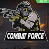 ��ս����Combat Force�ⰲװ��ɫ��
