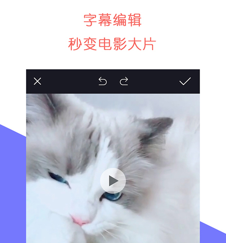 ʯ��ţ��