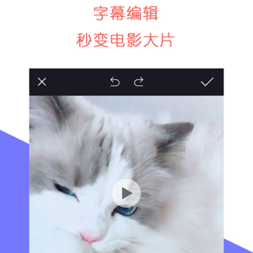 ʯ��ţ��