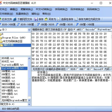 中文内码转换巨匠增强版 中文内码转换巨匠增强版