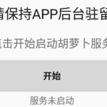 胡萝卜 胡萝卜