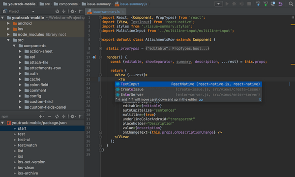JetBrains WebStorm ��ʽ��
