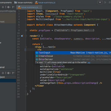 JetBrains WebStorm ��ʽ��