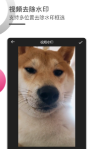 ư����Ƶ�༭��app