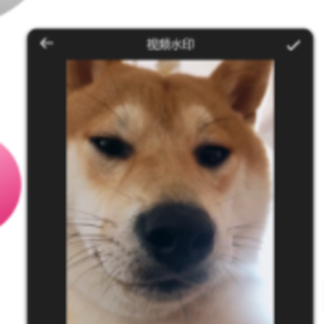 ư����Ƶ�༭��app