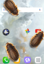 ���ӵ绰��Ц��app