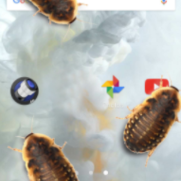 虫子电话的笑话app 虫子电话的笑话app