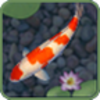aniPet Koi Live Wallpaper����ˮ����̬����v1.2.0 ��׿��