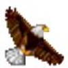 WorkWin����ר��v10.2.42 �ٷ���