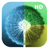 �ѹ�Ӣ WallHub��̬����v2.0.1 ��׿��